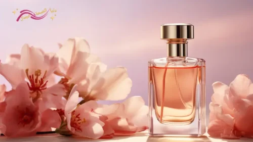 استكشاف جمالك في التفاصيل | أسرار العناية الشاملة